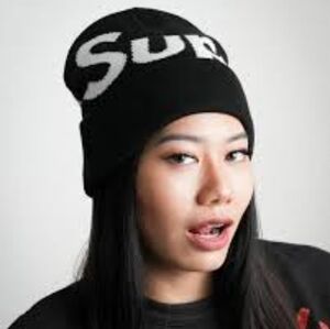 Supreme Big Logo Beanie (FW24)